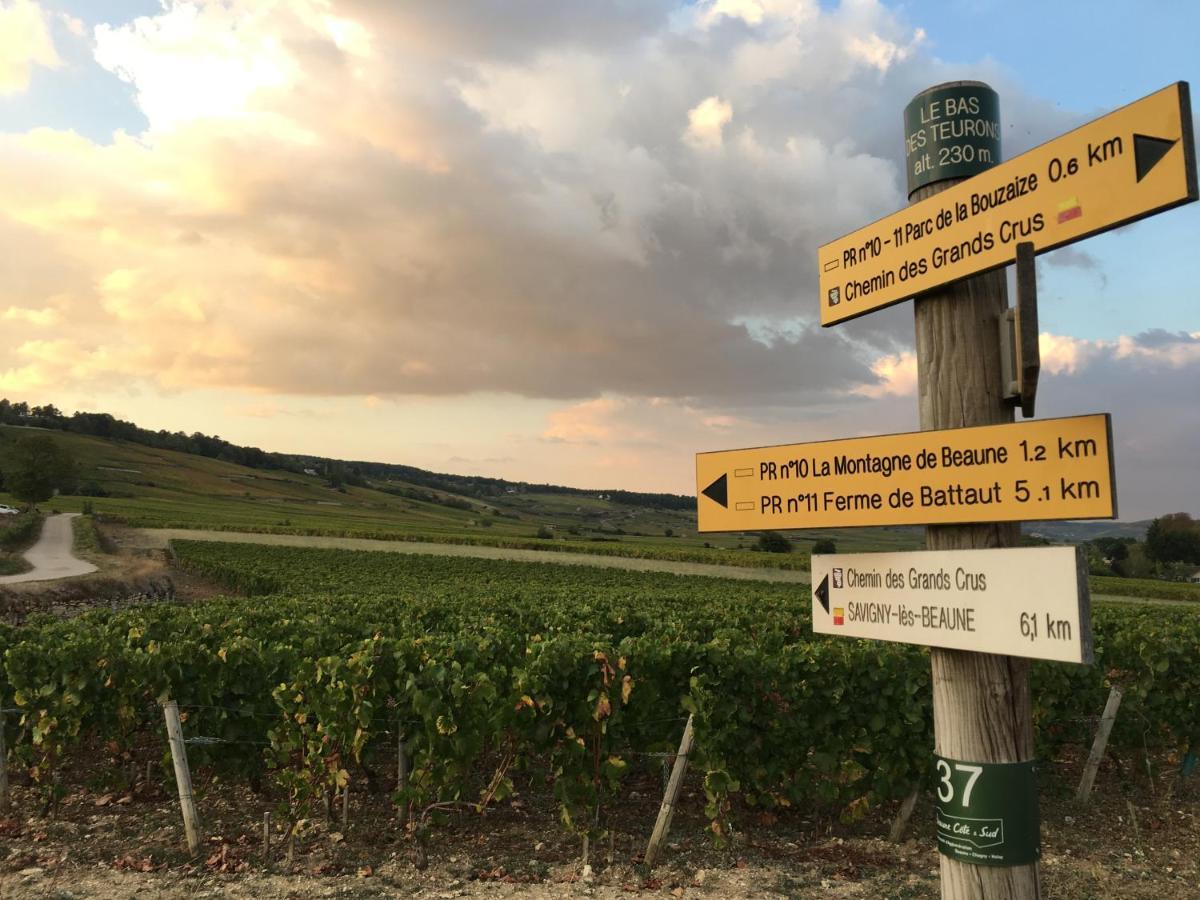 Le Gite de Tassigny Meursault Extérieur photo